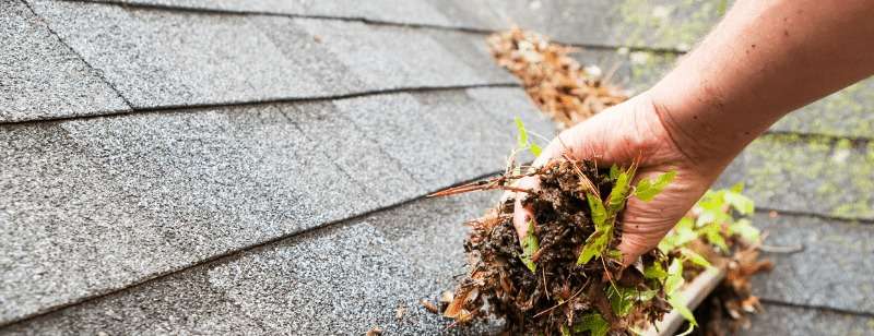 How to Get Your Roof and Gutters Ready for Autumn